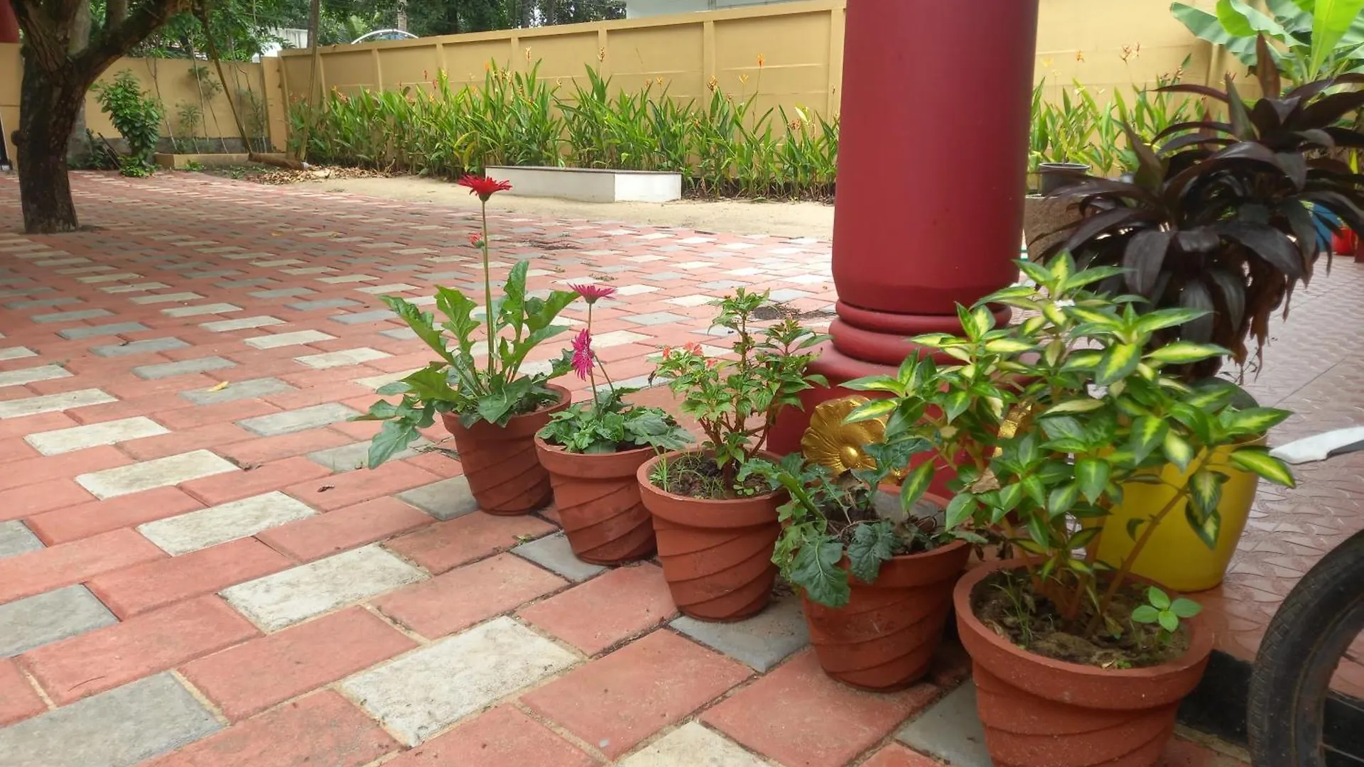 Gasthof Stains Holidayhome & Party Floor, Cherai Beach Pallipuram Indien